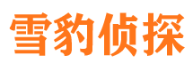 公主岭外遇调查取证